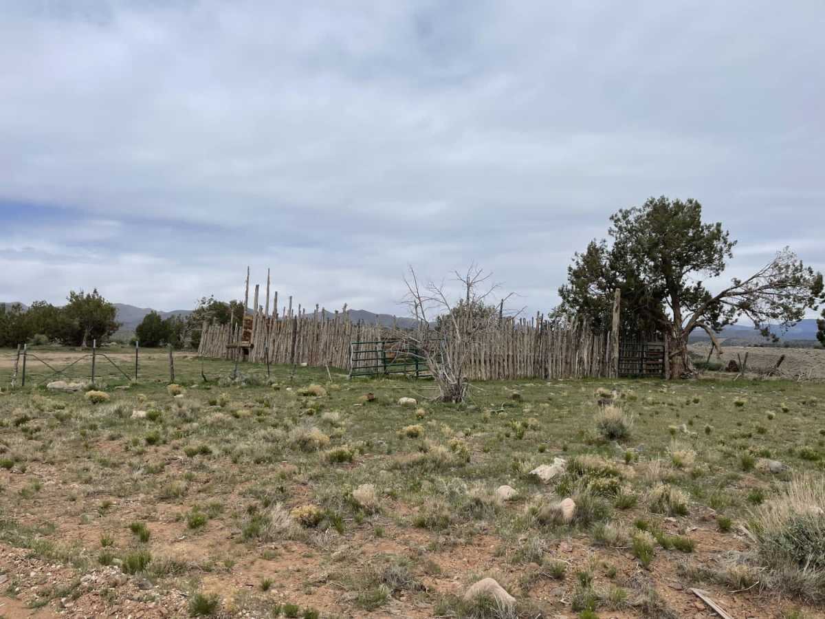 Lower Enterprise Lakes / Veyo Road photo 2
