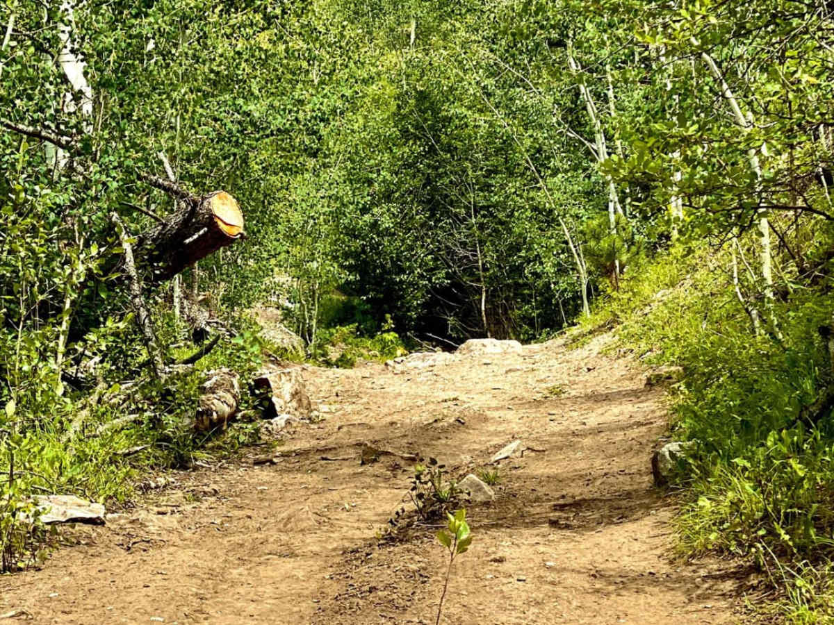 Baldy Trail photo 2