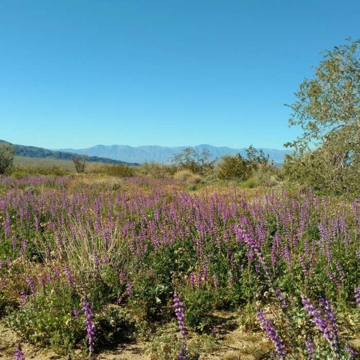 Near Bajada Nature Trail