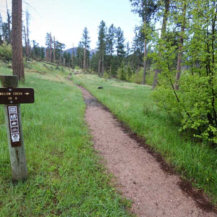 Near Black Elk Peak via Willow Creek Near Black Elk Peak via Willow Creek