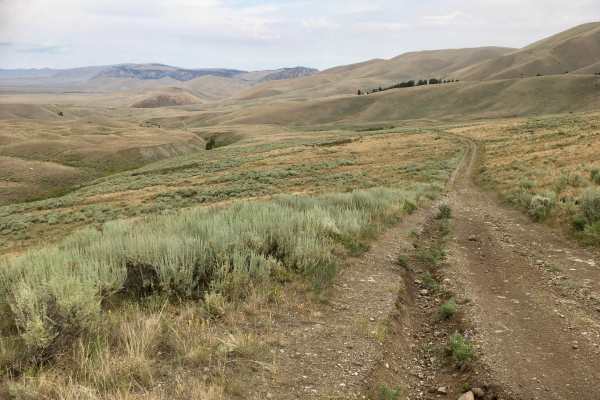 Bannack Pass Road