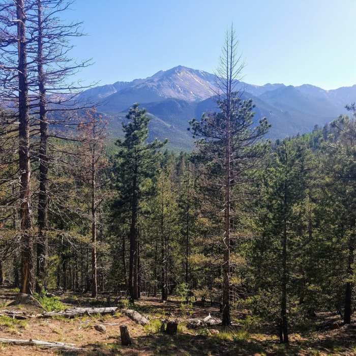 Near Heizer Trail to Manitou Reservoir