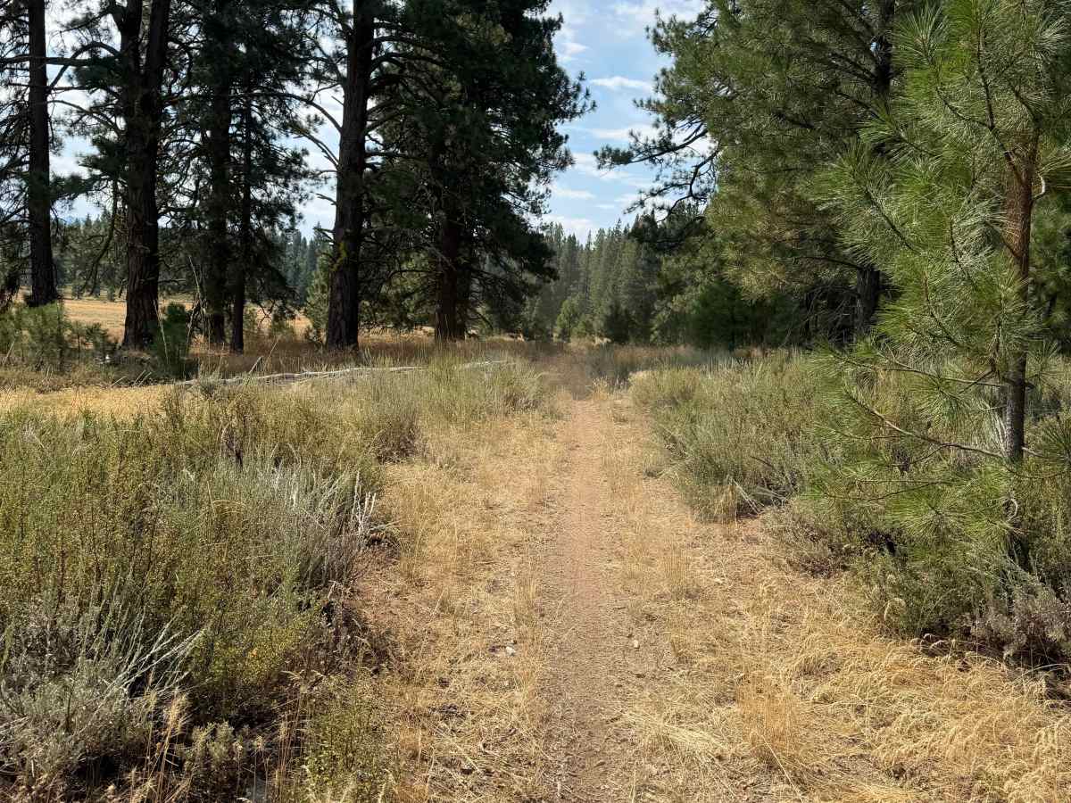 Dry Creek Trail photo 5
