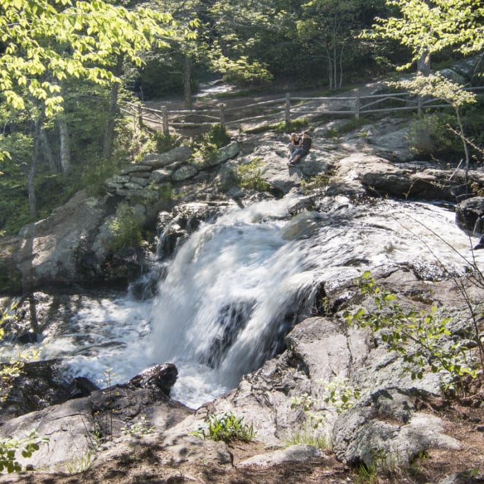 Near Orange Vista Trail Near Orange Vista Trail