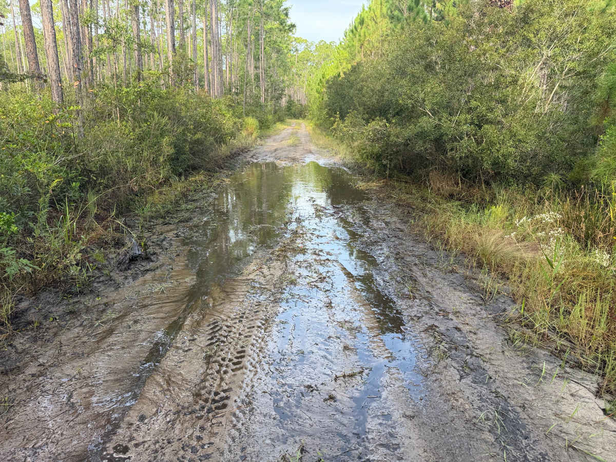 Hard Dobson West trail photo