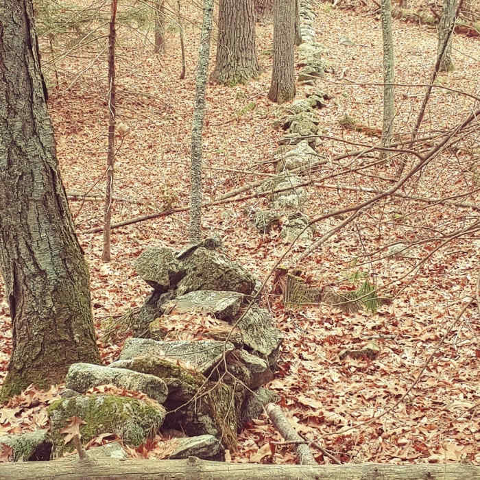 Old Wall Near Mt. Misery Loop