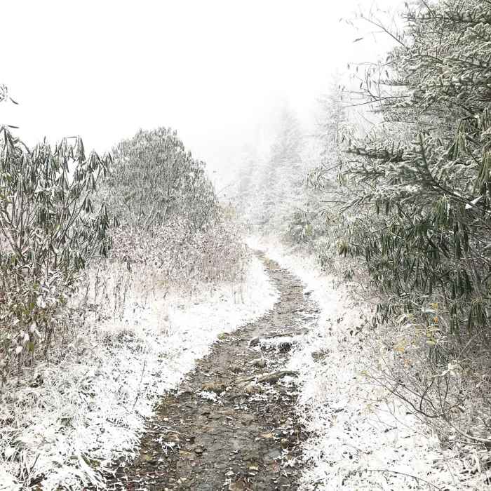 In October!! Will be going back next year for sure! Near Sam Knob Loop