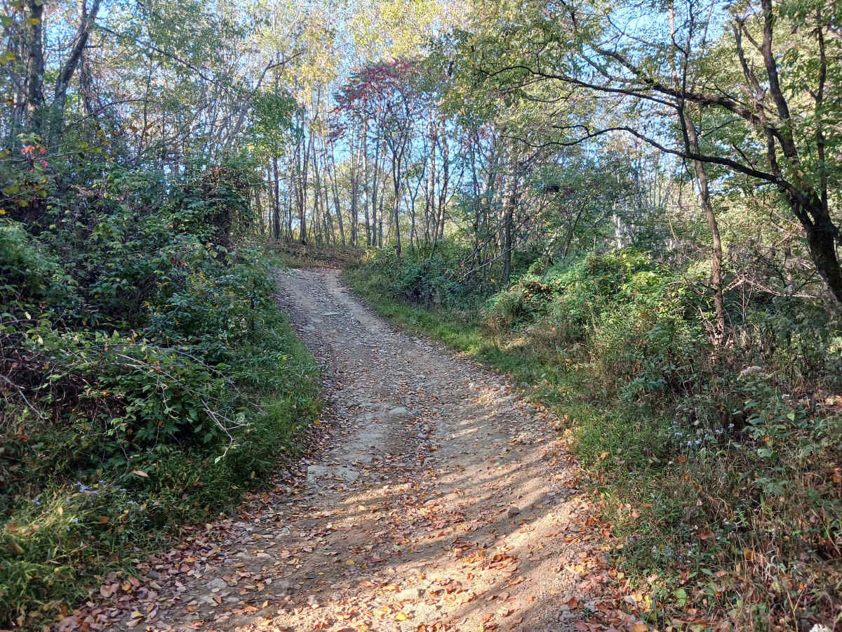 Inner Loop - East - Rock Run Recreation Area trail photo