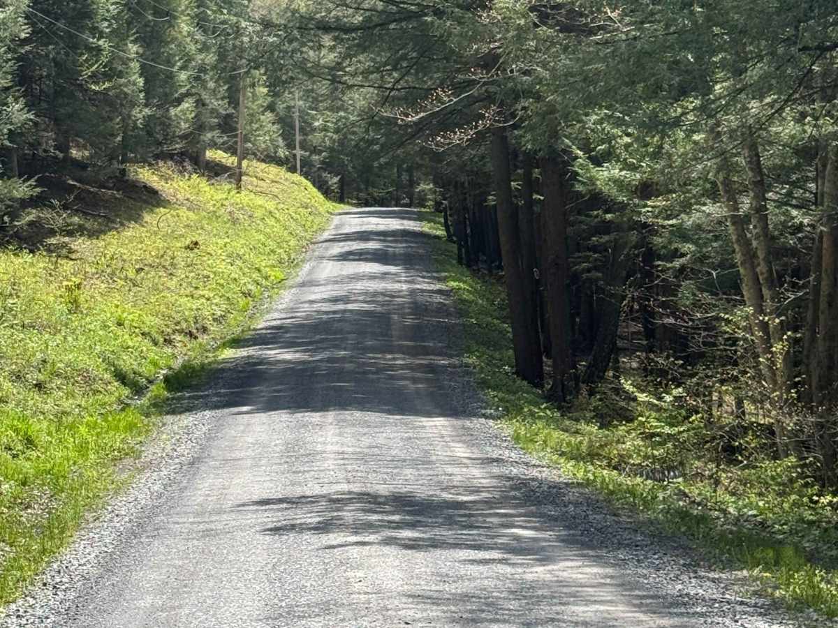 Porcupine Road photo 6