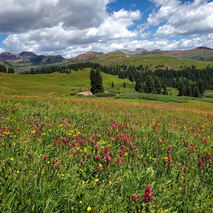 Near Engineer Summit Trail