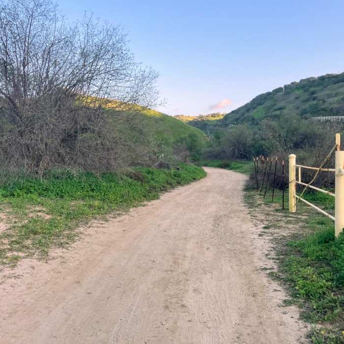 Near Telegraph/South Ridge Loop Near Telegraph/South Ridge Loop