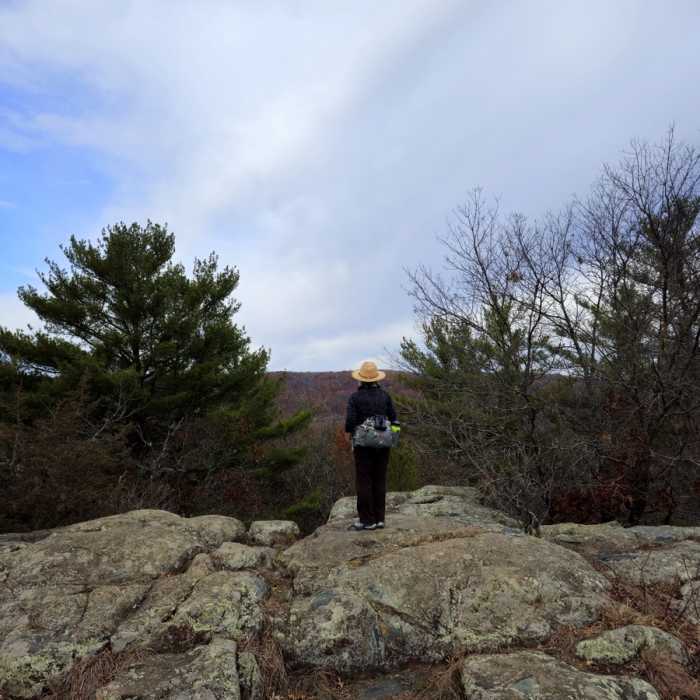 Near Eagle Peak Trail
