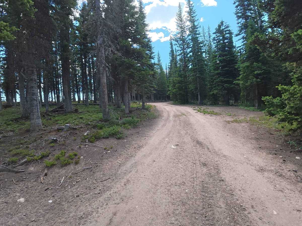 Slide Road - FS 282 photo 3