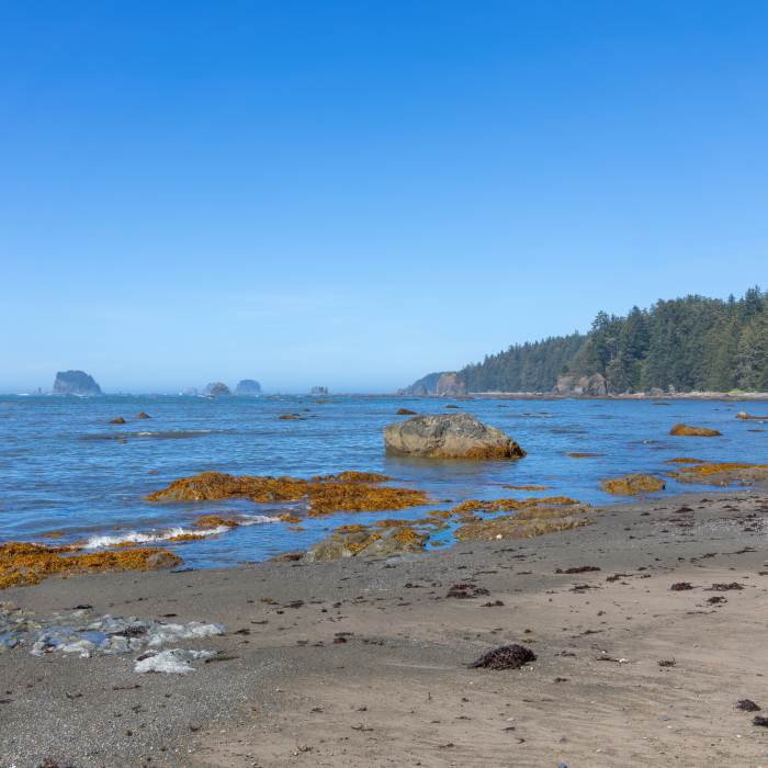 Near North Sand Point Trail