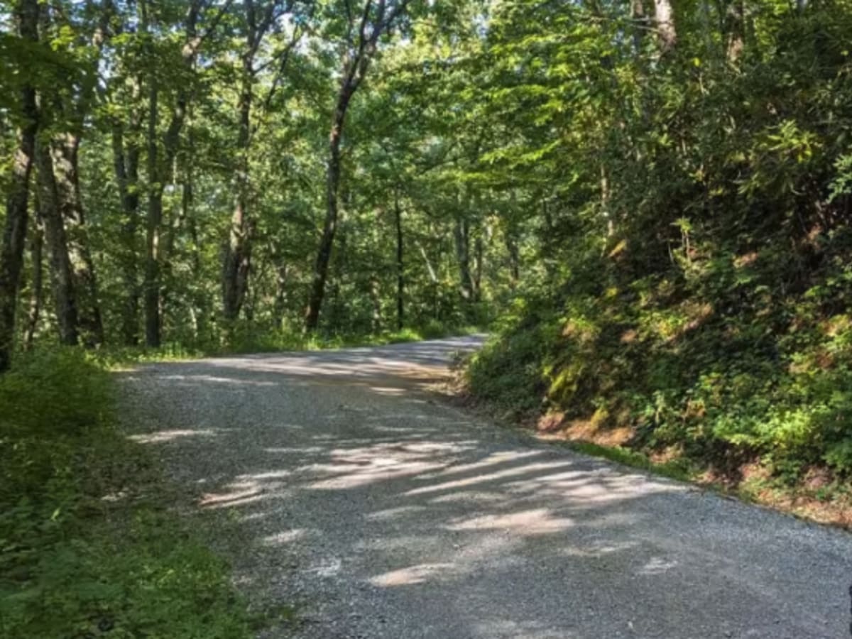 Green Mountain Road photo 6