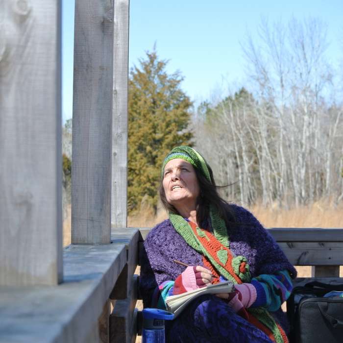 The Wildlife Viewing Platform is a great place to make a sketch, view birds, or enjoy lunch. Near Horton Grove Nature Preserve Loop
