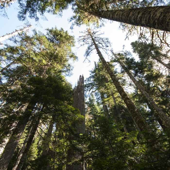 Near Boulder Ridge Trail Hike