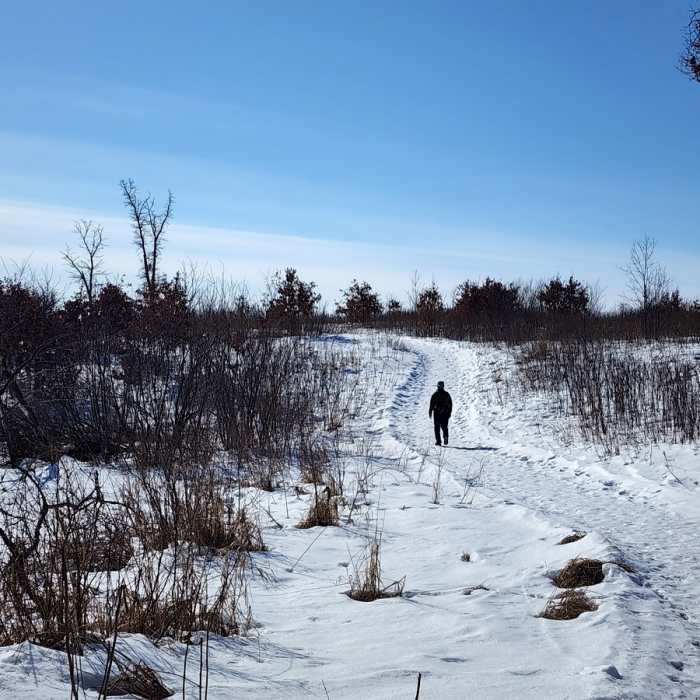 Near Blue Hill Trail