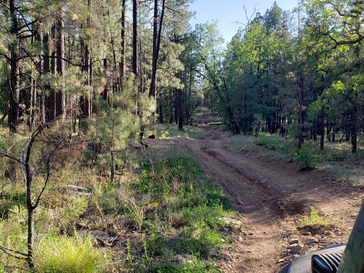 Dorsey Spring Trailhead photo 4