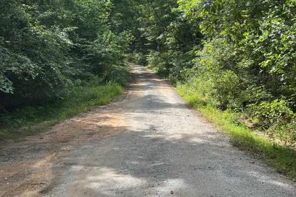 Stonewall Creek - FS 20