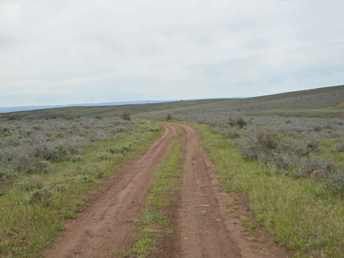 Barker Spring Loop - FS 10050 photo 2