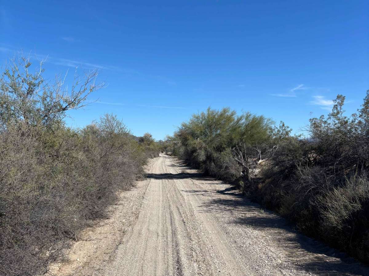 Petroglyph Access trail photo