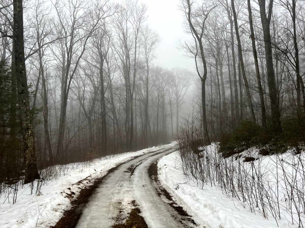Deer Lick Trail photo 2