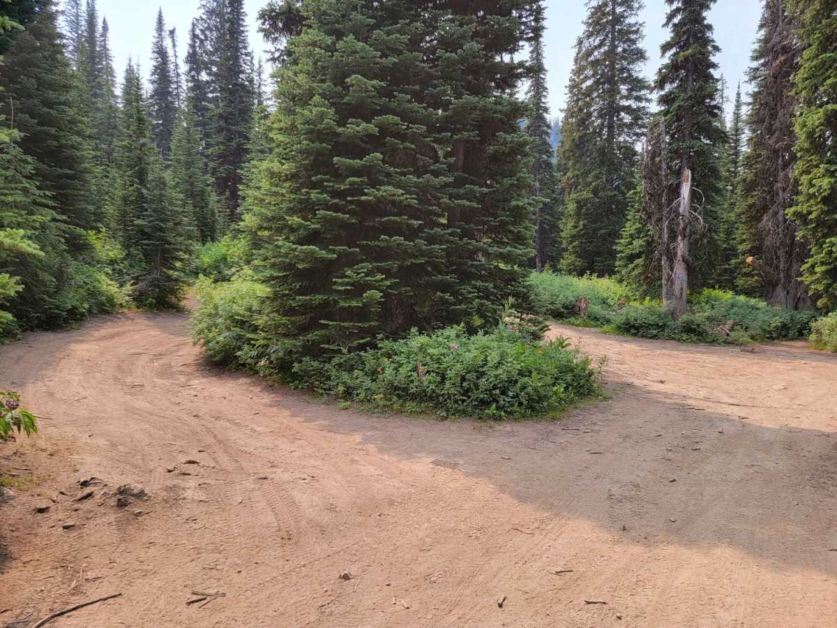 Aurora Basin Road photo 5