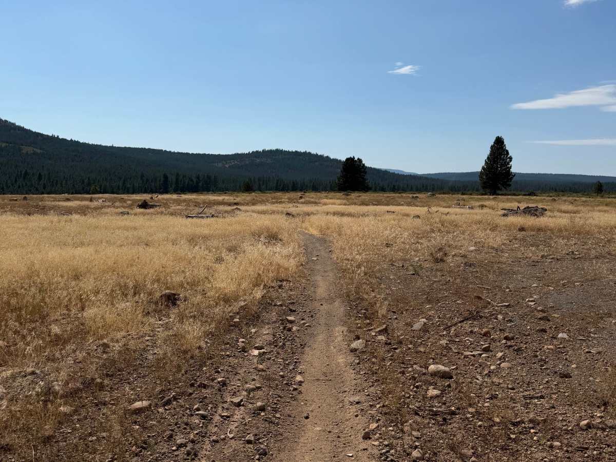 Ice House Trail photo 3