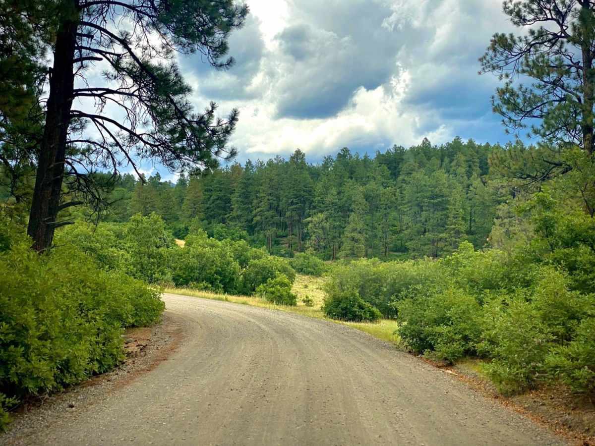 Buckles Lake-Fr Rd 663 photo 2