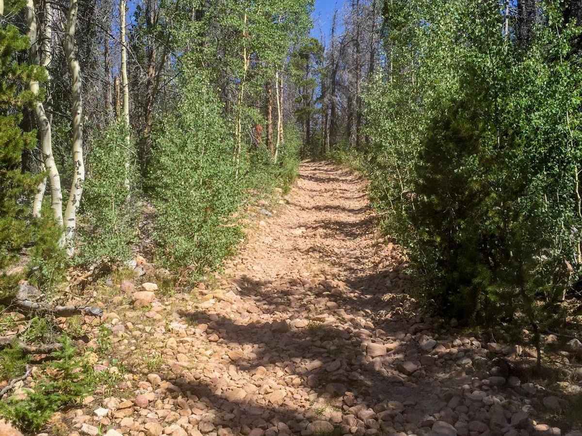 Dry Ridge Road photo 5