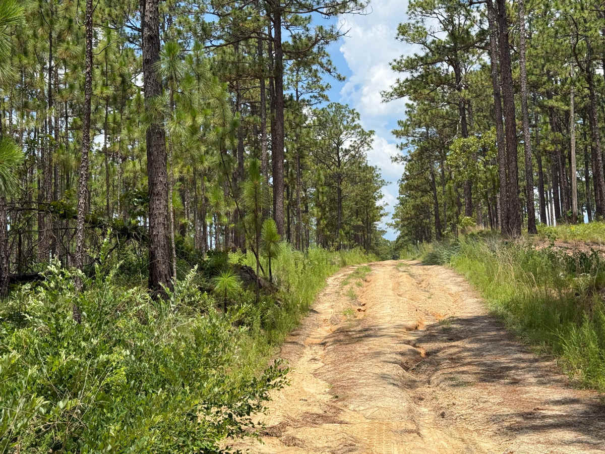 Deaton Lane photo 6