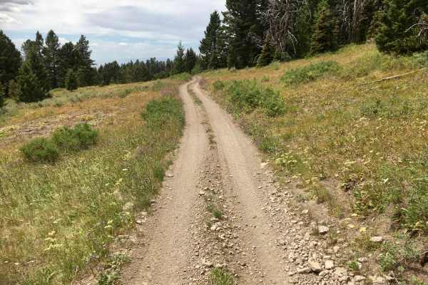 Alex Draw to McGary Canyon ATV Trail