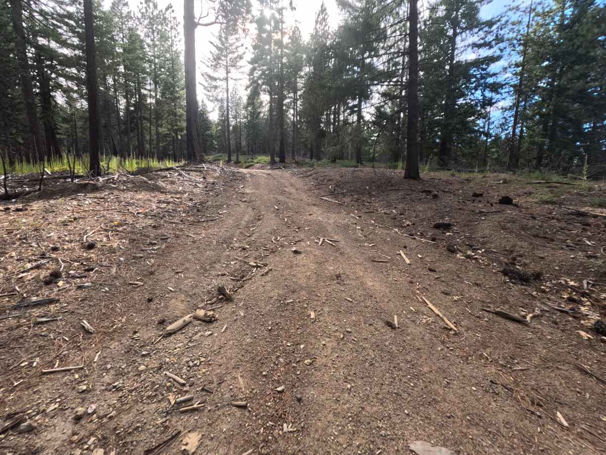 Ball Rock Ridge - FS 24N41 photo 2