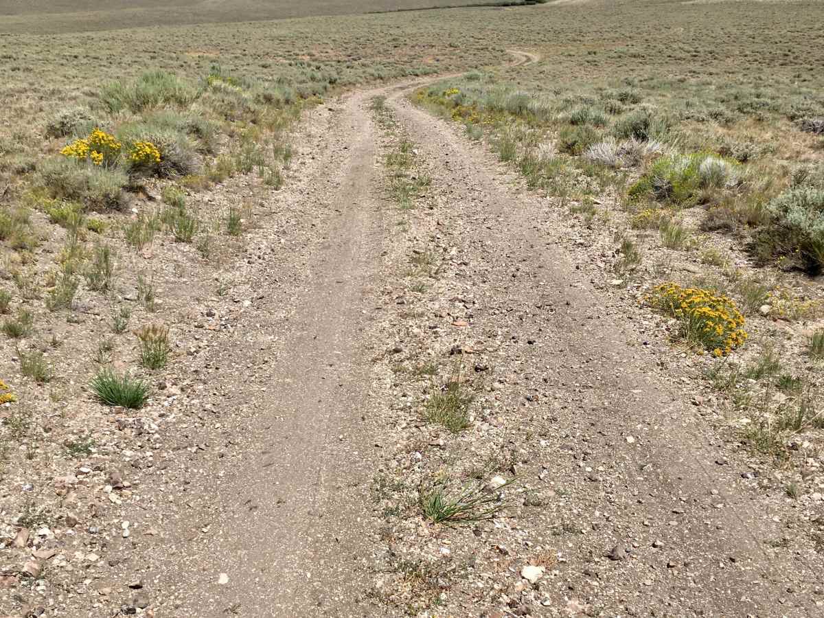 Everson Creek Road photo 4