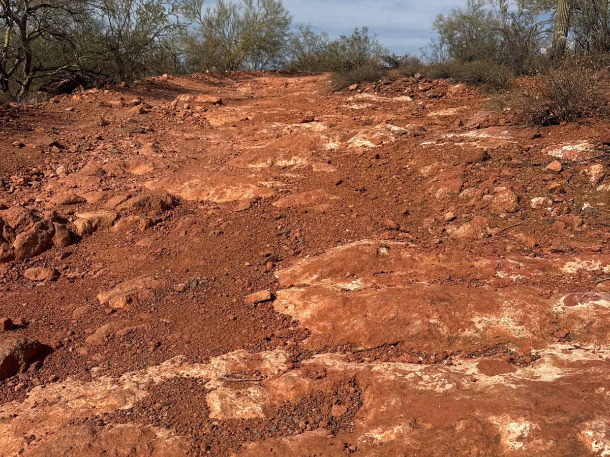 BLM 38064 photo 5
