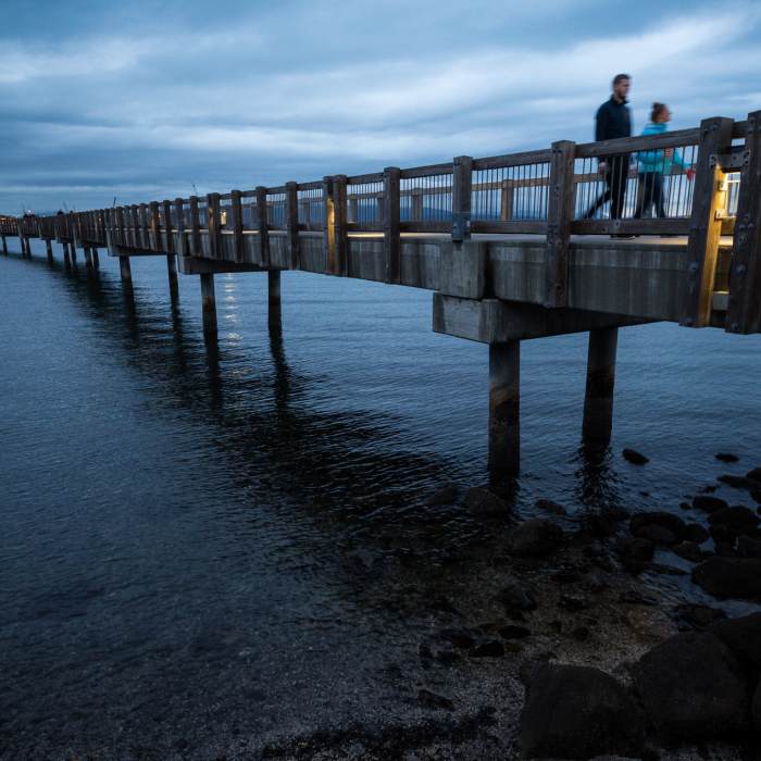 Near South Bay Trail