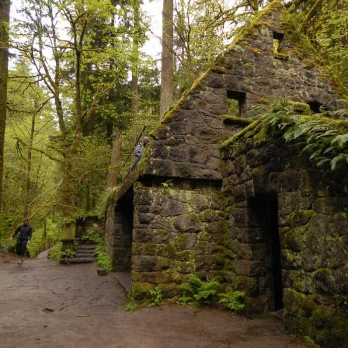 Near Lower Macleay Trail Loop