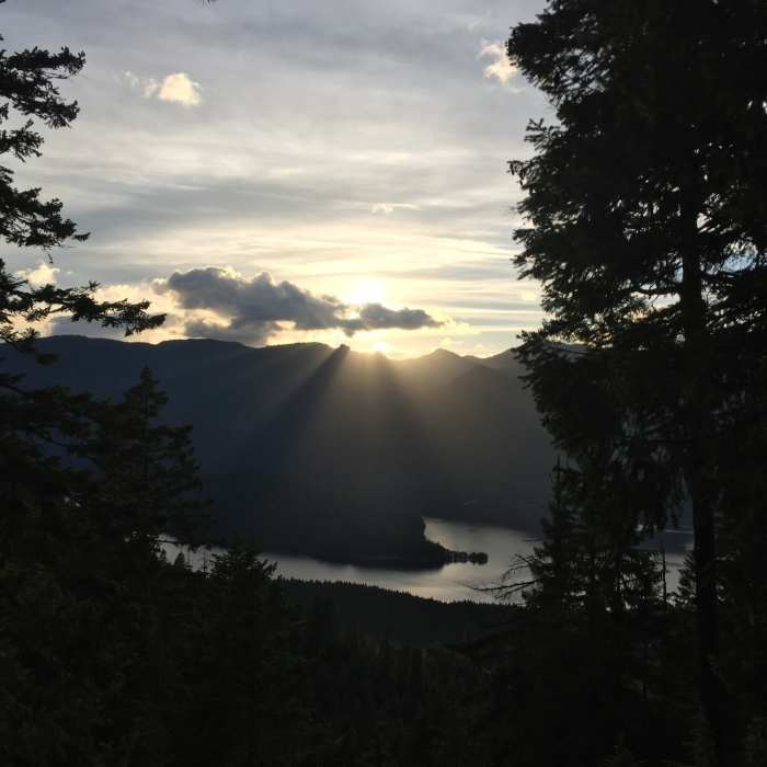 Near Stahlman Point Trail #3449