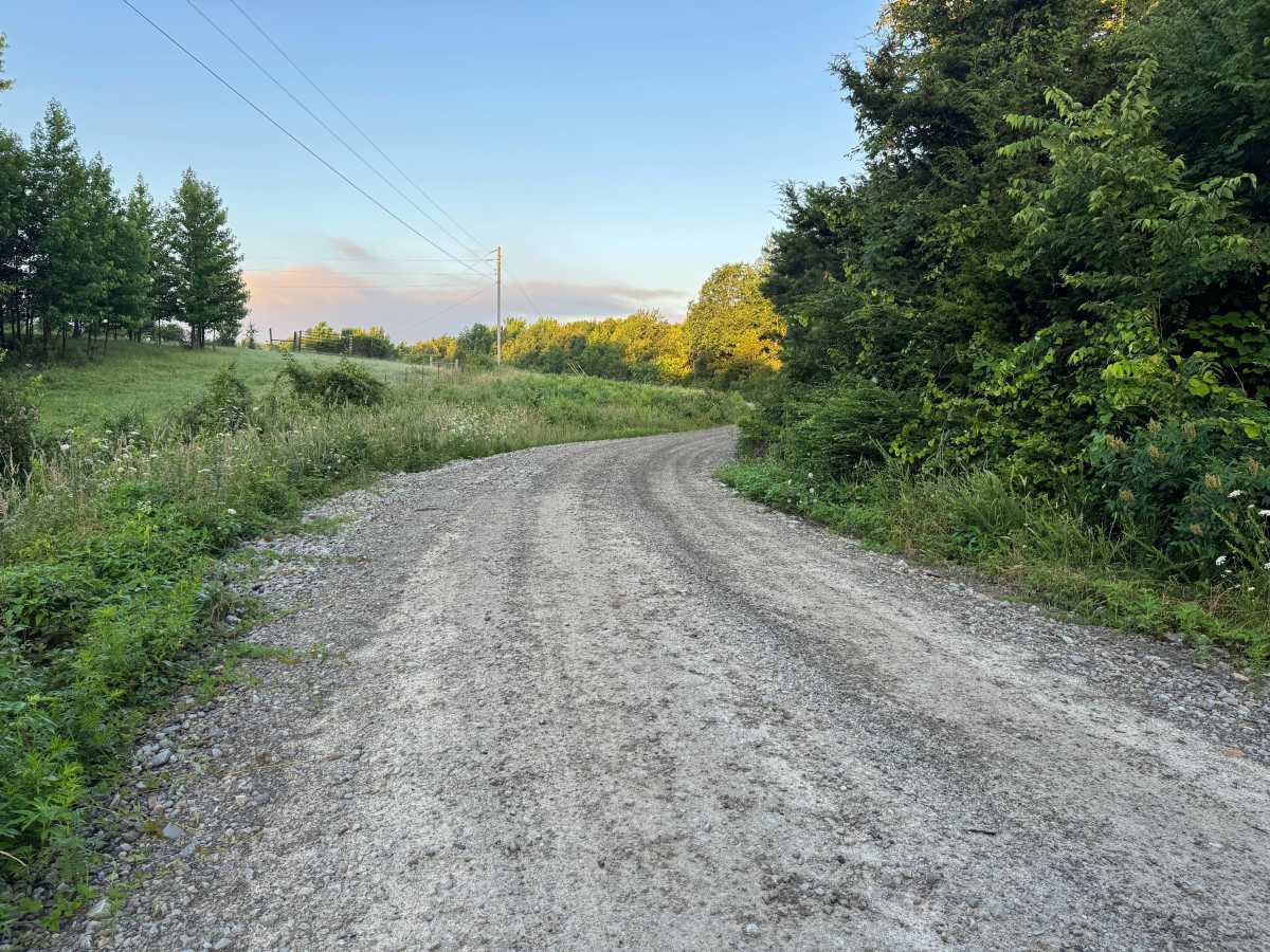 County Road 5501 photo 2