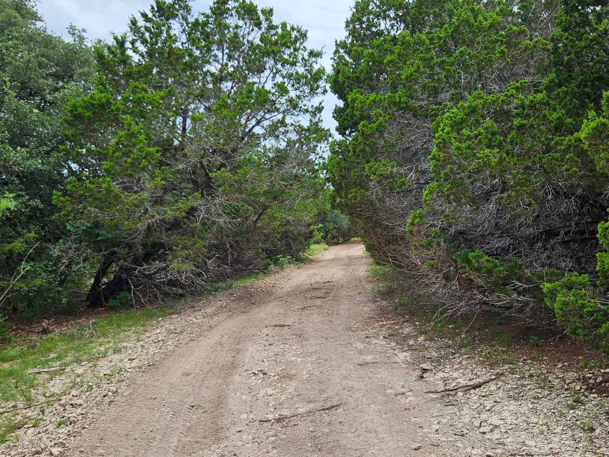 Stampede trail photo