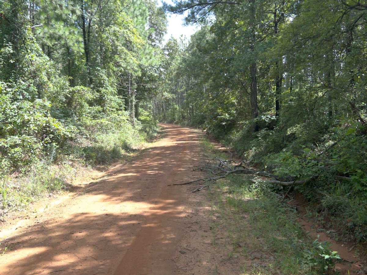 Dixie Road - FS 421 photo 3