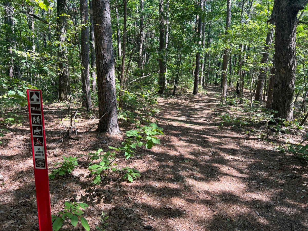 Piney Ridge photo 6
