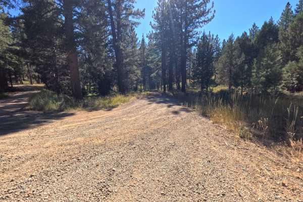 Cottonwood Creek - FS 0089-060
