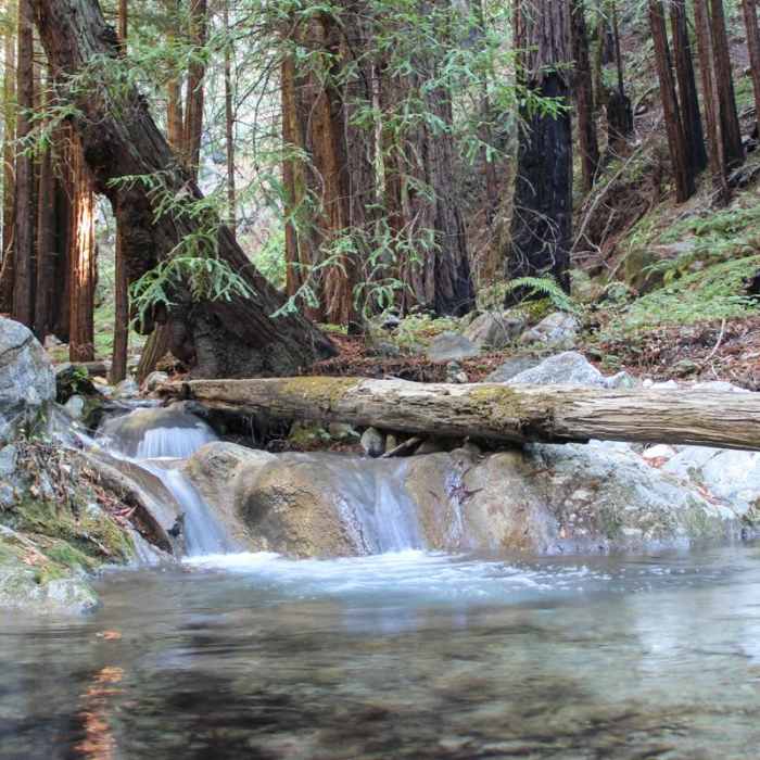 Near Hare Creek Trail Near Hare Creek Trail