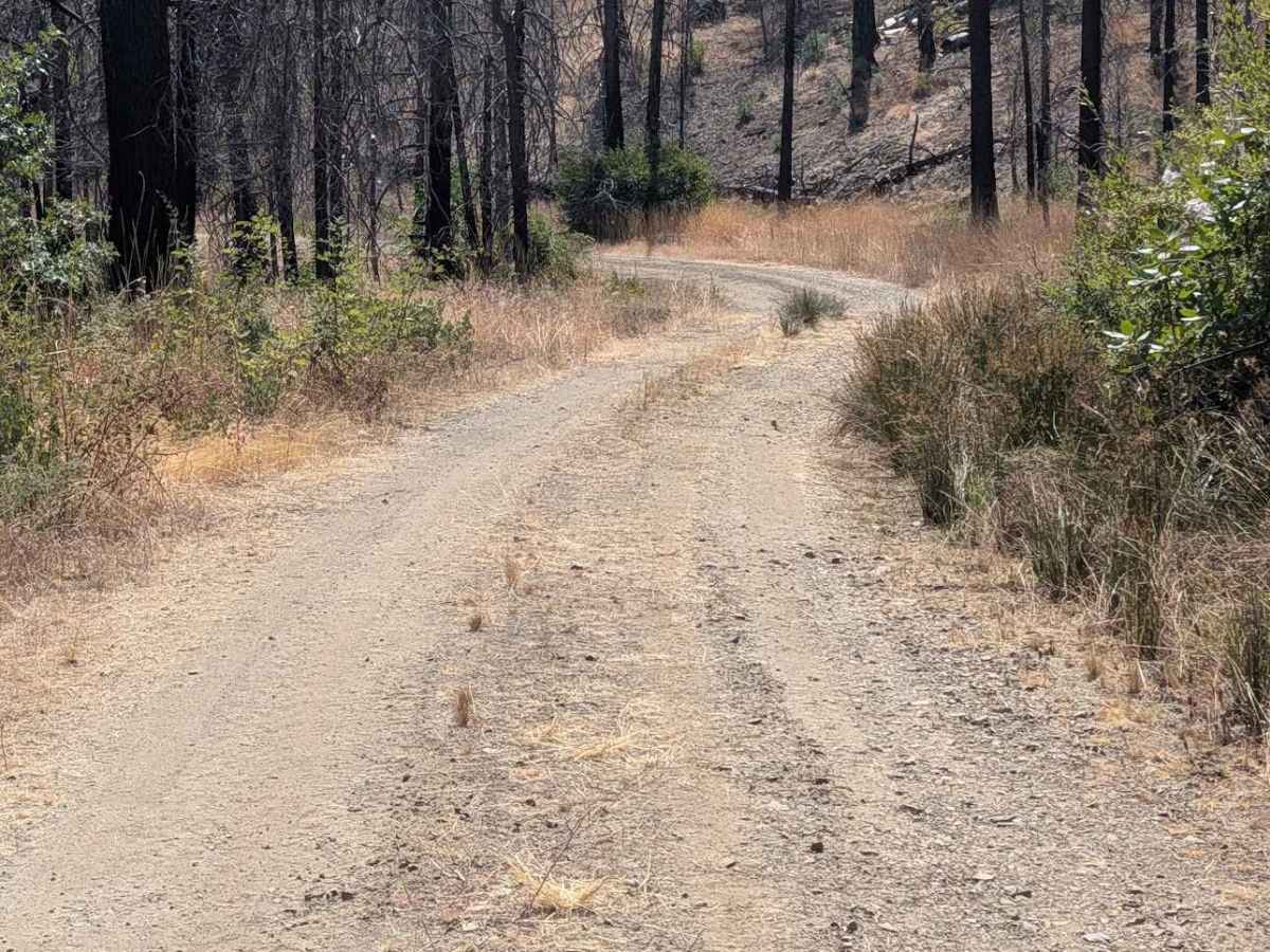 Strong Road - FS 29N39 photo 2
