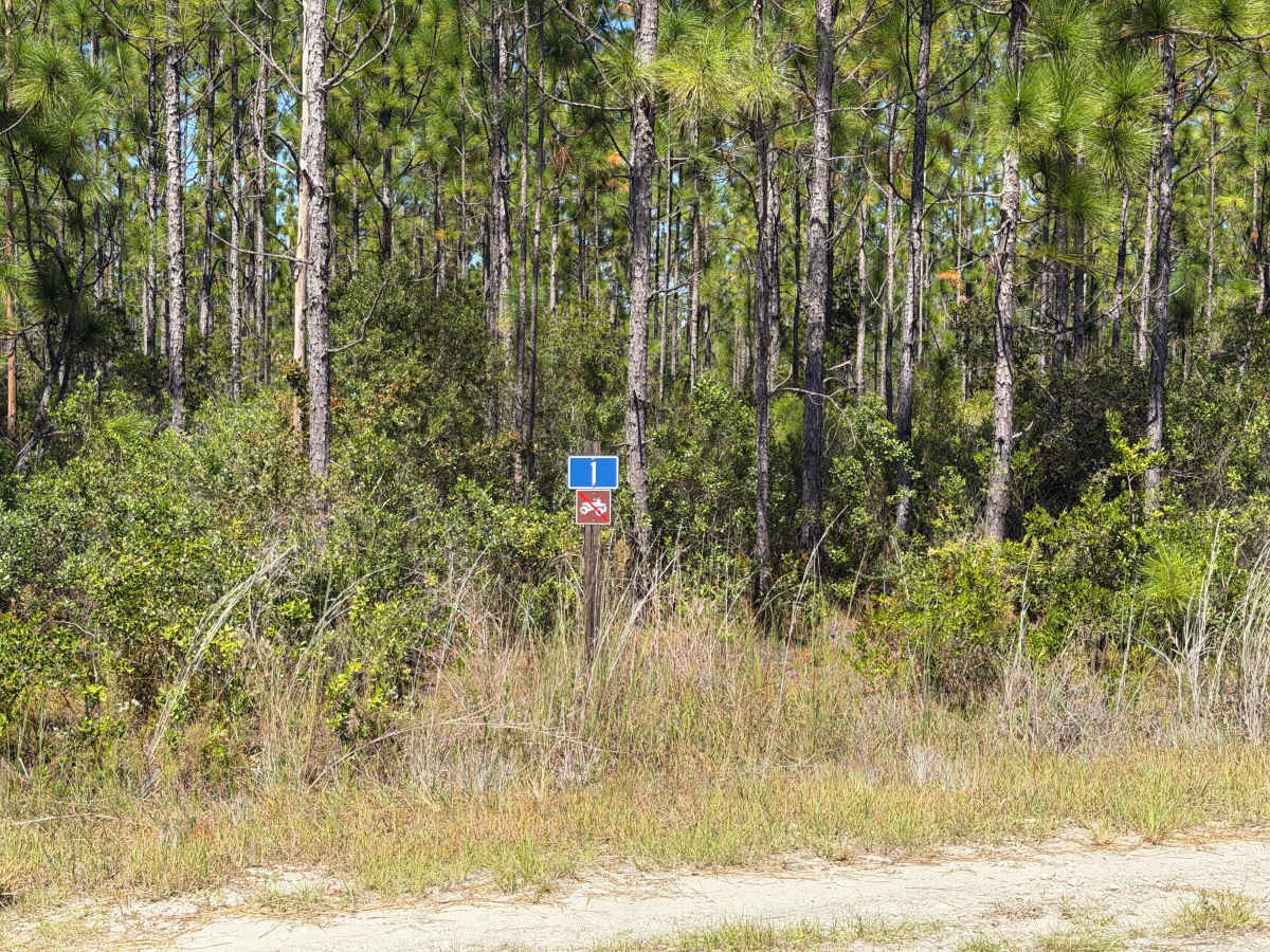 FR 1 trail photo