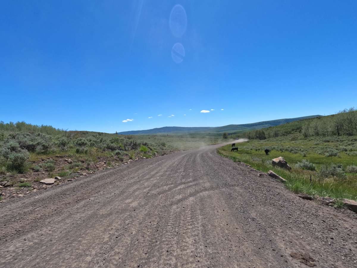 Horse Creek photo 3