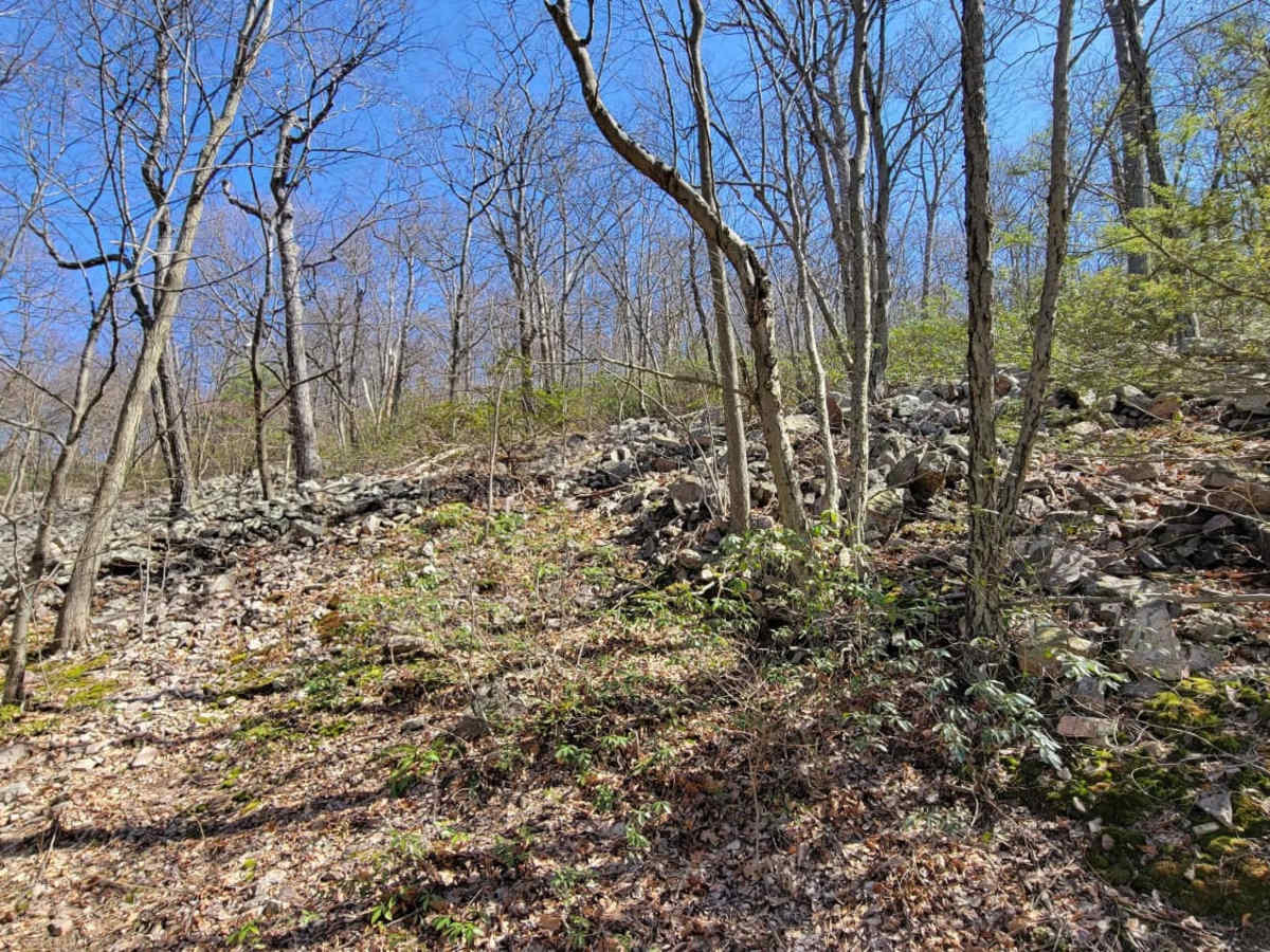 Germantown Road photo 5