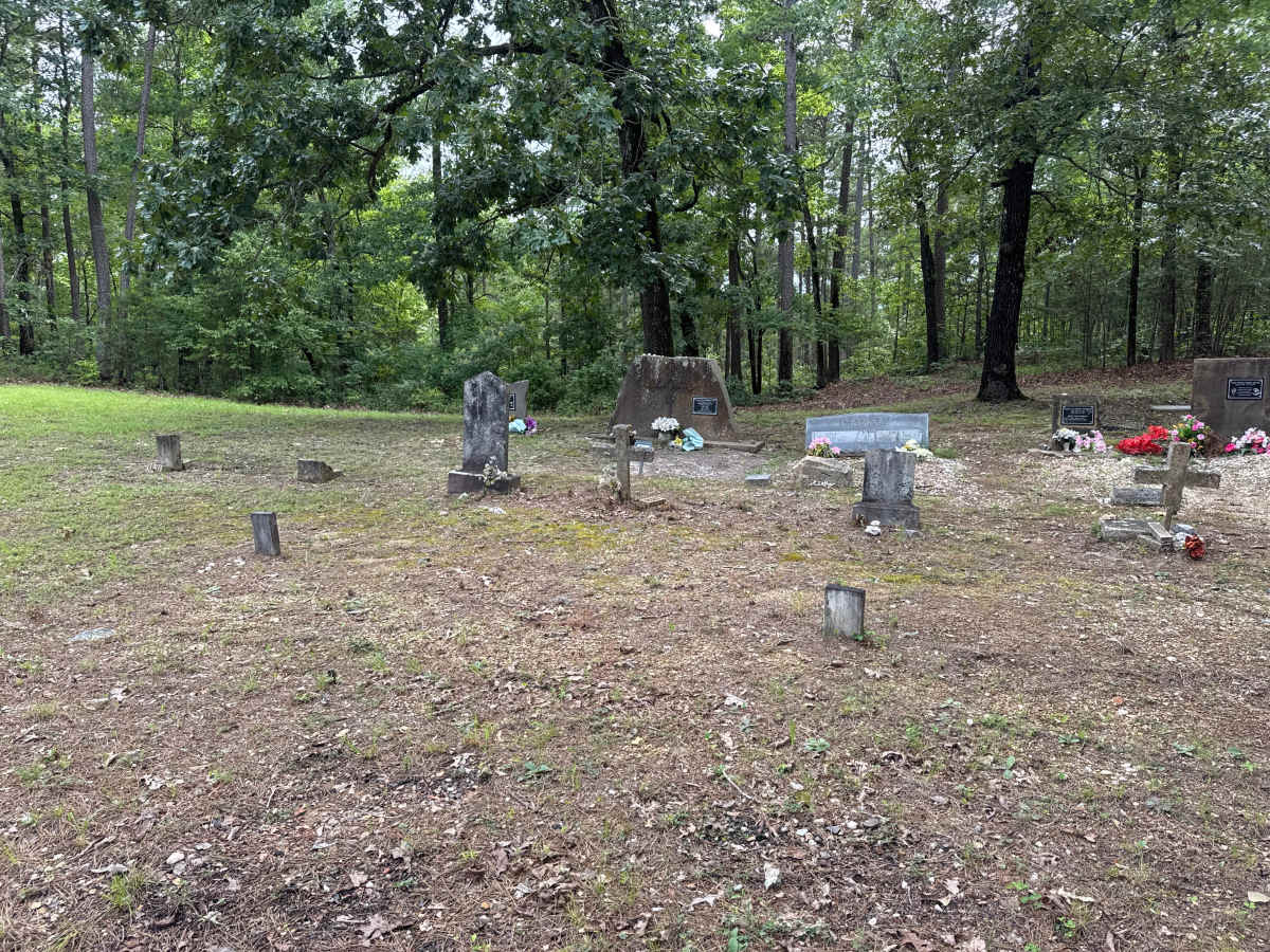 Old Piney Cemetery photo 5